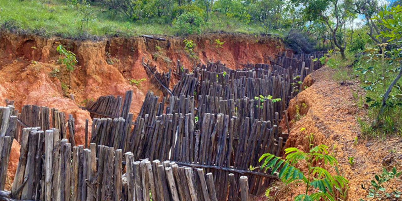 Construção de Paliçada | Somai Alimentos