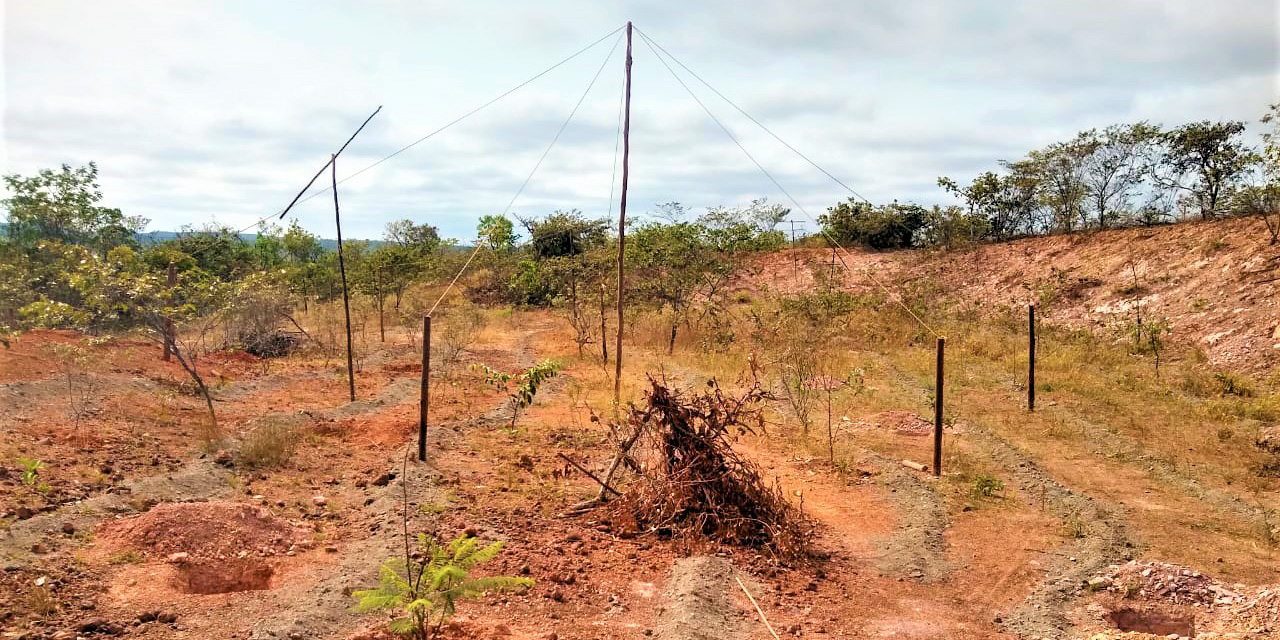 Poleiros artificiais | SOMAI Alimentos